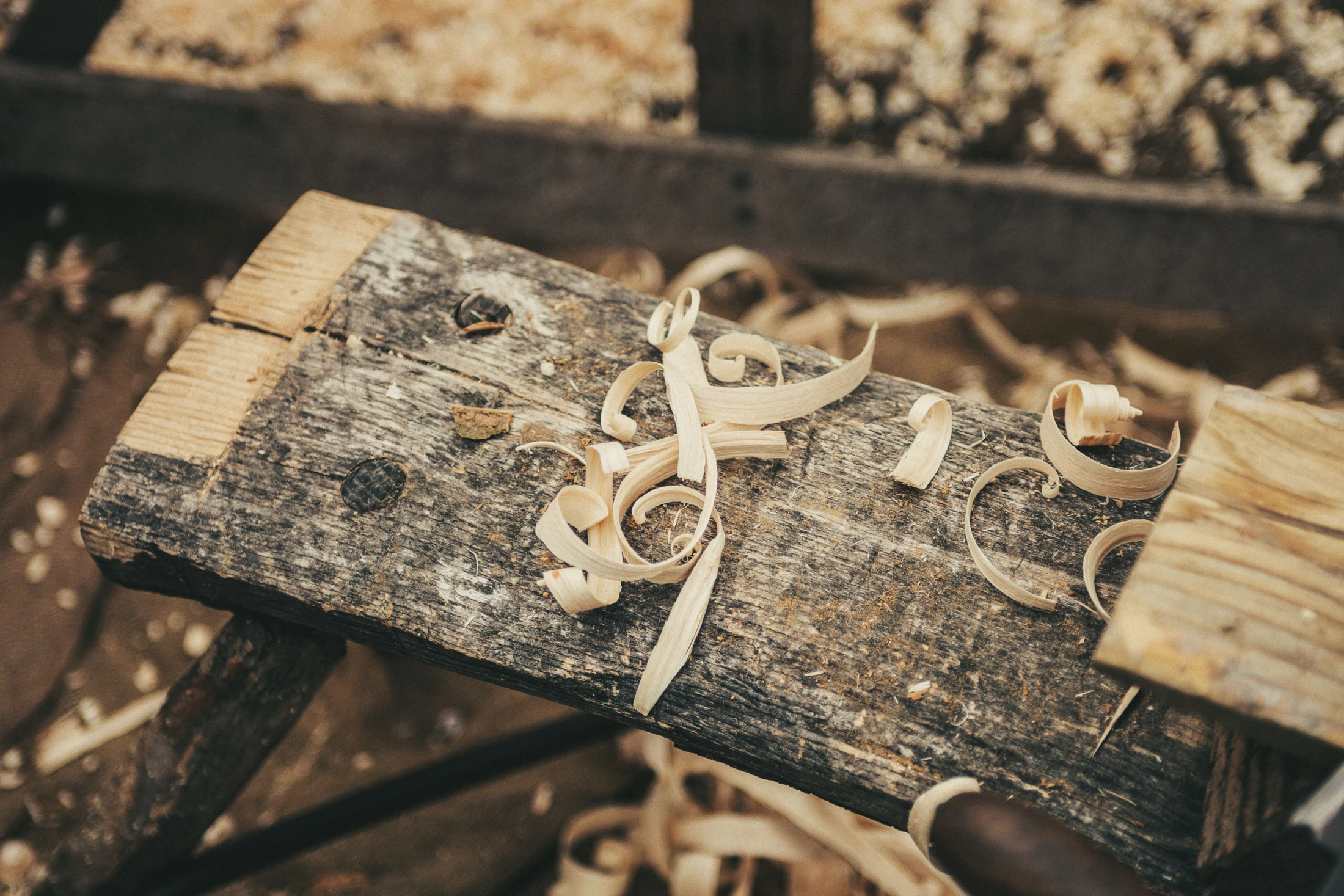 Wood shavings and hand tools on a woodworking bench